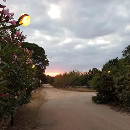 Vila Villetta Delfino Rena Majore