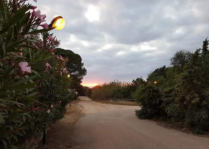 Villa Villetta Delfino Rena Majore